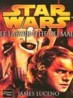 Star Wars N81 Le Labyrinthe Du Mal de Luceno James chez Fleuve Noir