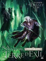 Graphics Legende De Drizzt (la) T2 de Salvatore/dabb/seele chez Milady