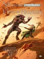 Images T6 Les Royaumes Oublies - La Legende De Drizzt, T6 : Le Joyau Du Halfelin de Dabb/salvatore chez Milady Graphics