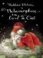 Metamorphose En Bord De Ciel de Malzieu Mathias chez Flammarion