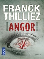 Angor de Thilliez Franck chez Pocket