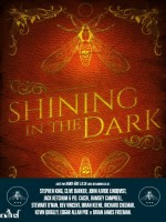 Shining In The Dark de Xxx chez Actusf