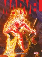 Marvel : Merveille de Ross/busiek/darnall chez Panini