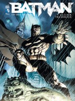 Dc Renaissance T1 Batman T1 : La Cour Des Hiboux de Snyder/capullo chez Urban Comics