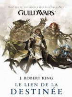 Guild Wars T02 : Le Lien De La Destinee de King-j R chez Panini