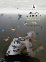 Le Syndrome Indigo (babel) de Setz Clemens J./stav chez Actes Sud