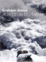 Au Coeur Du Silence de Joyce, Graham chez Gallimard