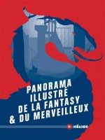 Panorama Illustre De La Fantasy Et Du Merveilleux de Ruaud Andre-francois chez Moutons Electr