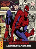 Amazing Spider-man : Les Comic-strips 1981-1982 de Lee/lieber/kida chez Panini