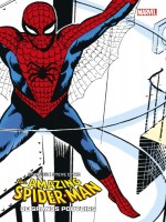 Amazing Spider-man : A Grands Pouvoirs (ed. Cartonnee) - Compte Ferme de Lee/ditko chez Panini